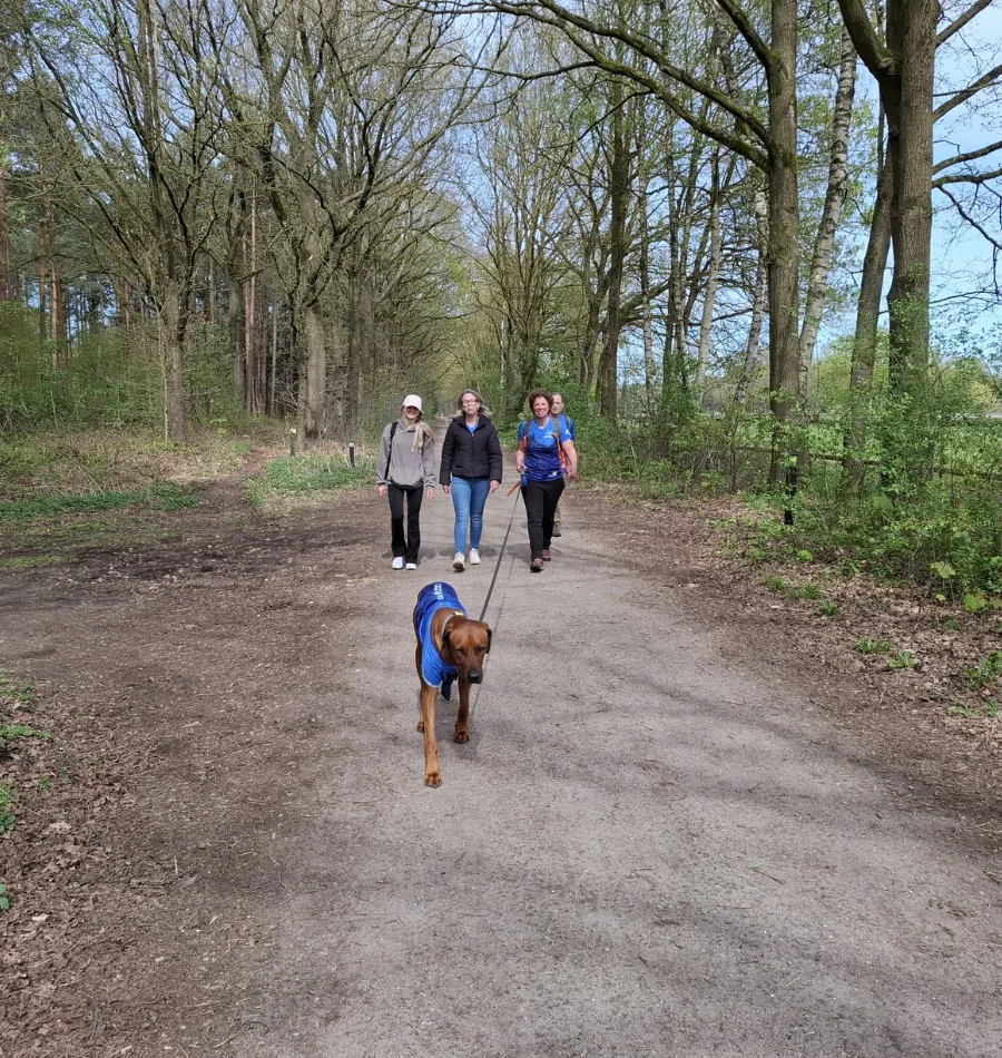 Halve van Helmond - wandelen 900x950