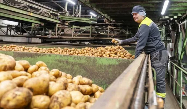 Medewerker van Agristo in foodkleding Lavans