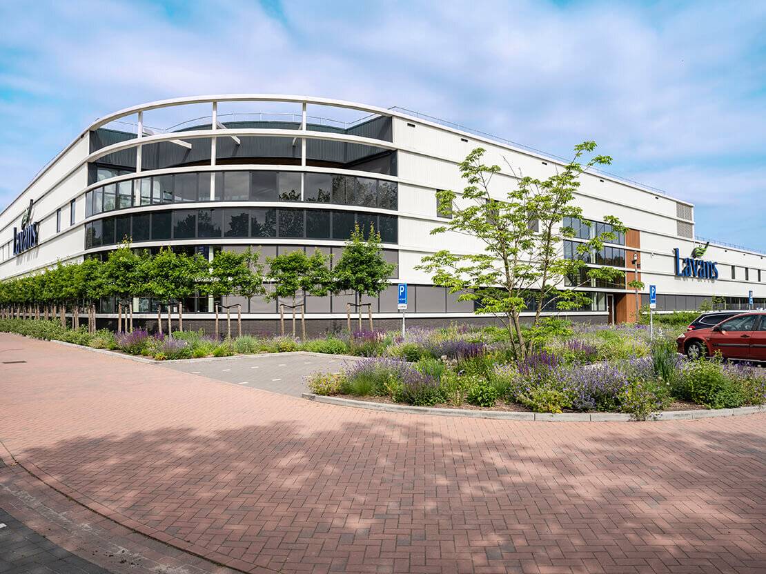 Lavans desktop banner